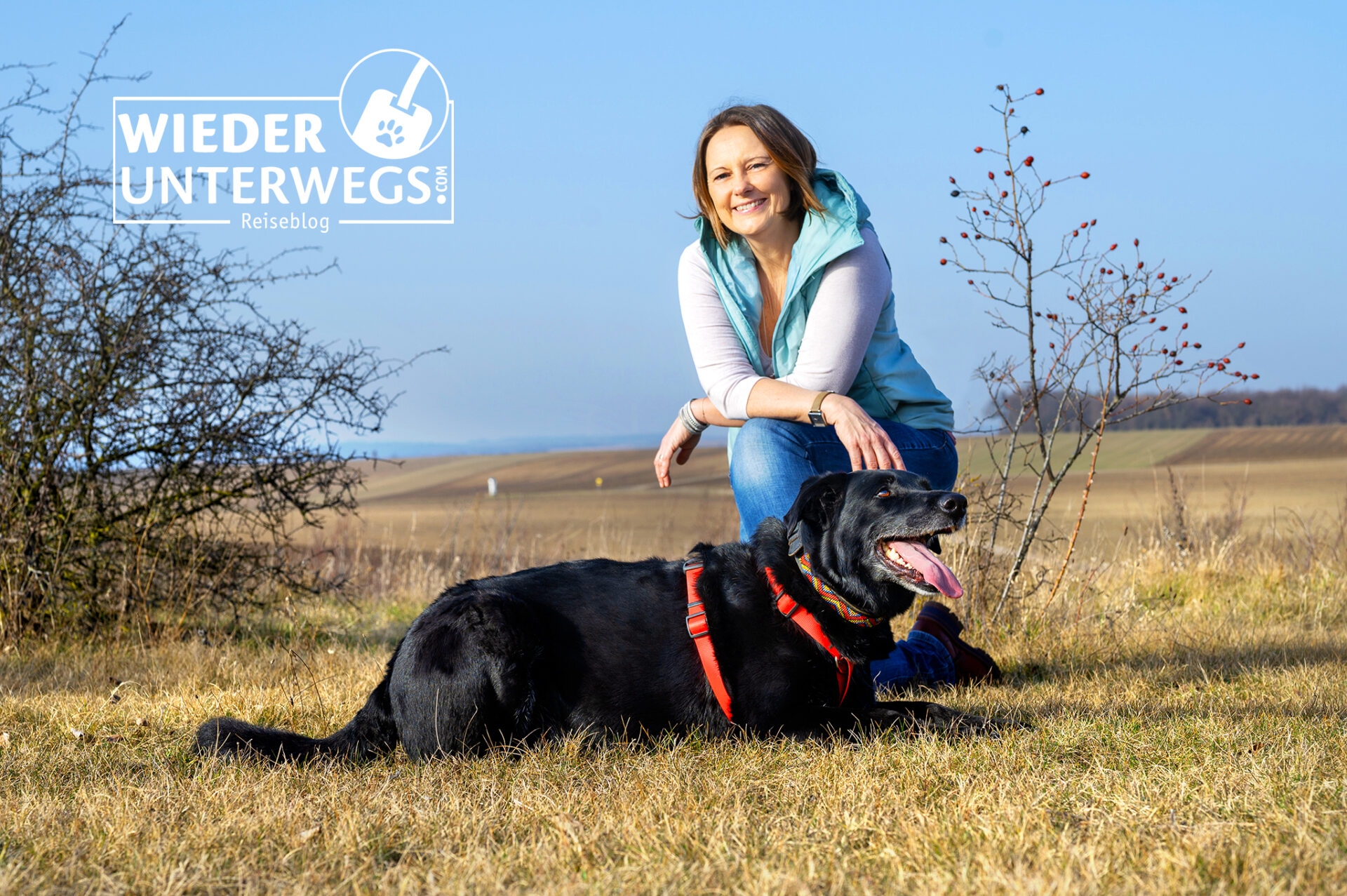 Angelika-Mandler-Saul-Hund-Blog-1920x1277.jpg