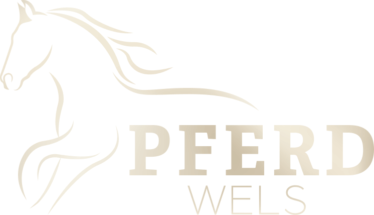 PFERD Wels
