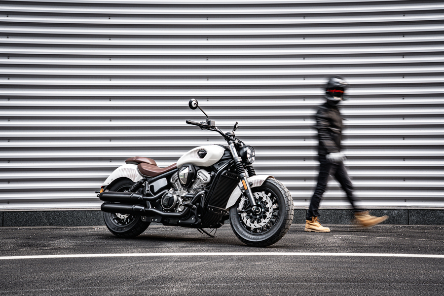 Hauptbild_Dark Flag 950_action2.jpg