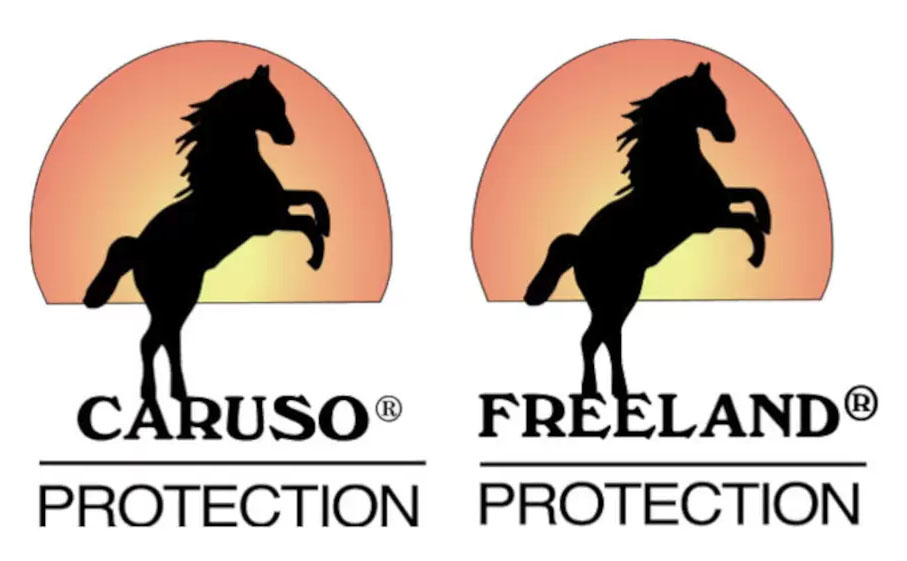 Logo-1997-caruso-freeland-1-1.jpg