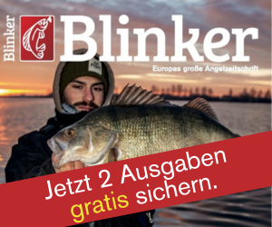 Blinker.at