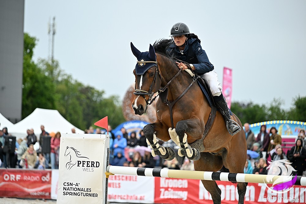 PFERD Wels 2026 begeisterte 49.000 Besucher