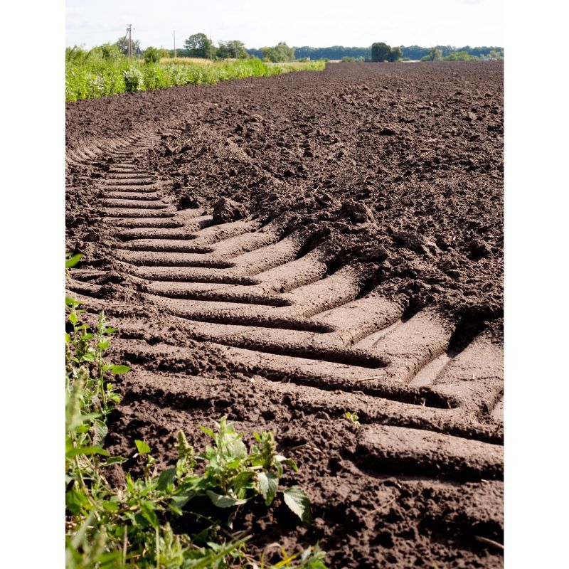 Österreichs Leitmesse für Landwirtschaft, Innenmechanisierung und Forst