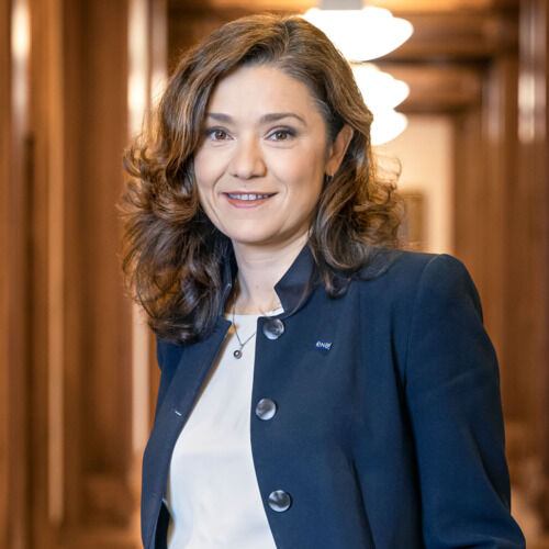 Petia Niederländer