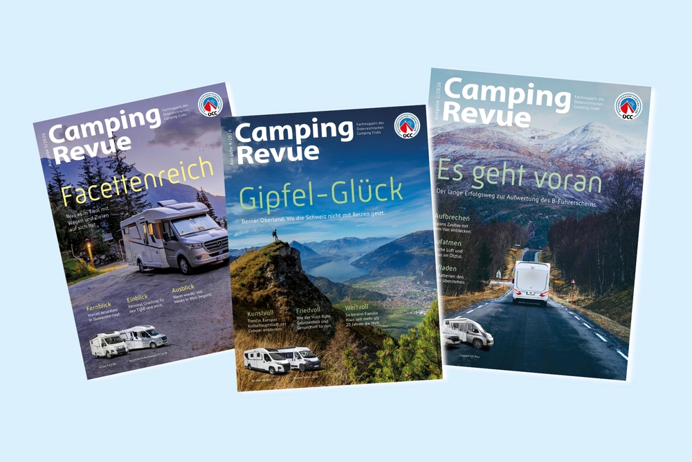Bild Camping Revues.jpg